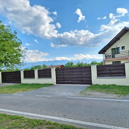 Pensiunea Daria Haţeg Exterior foto