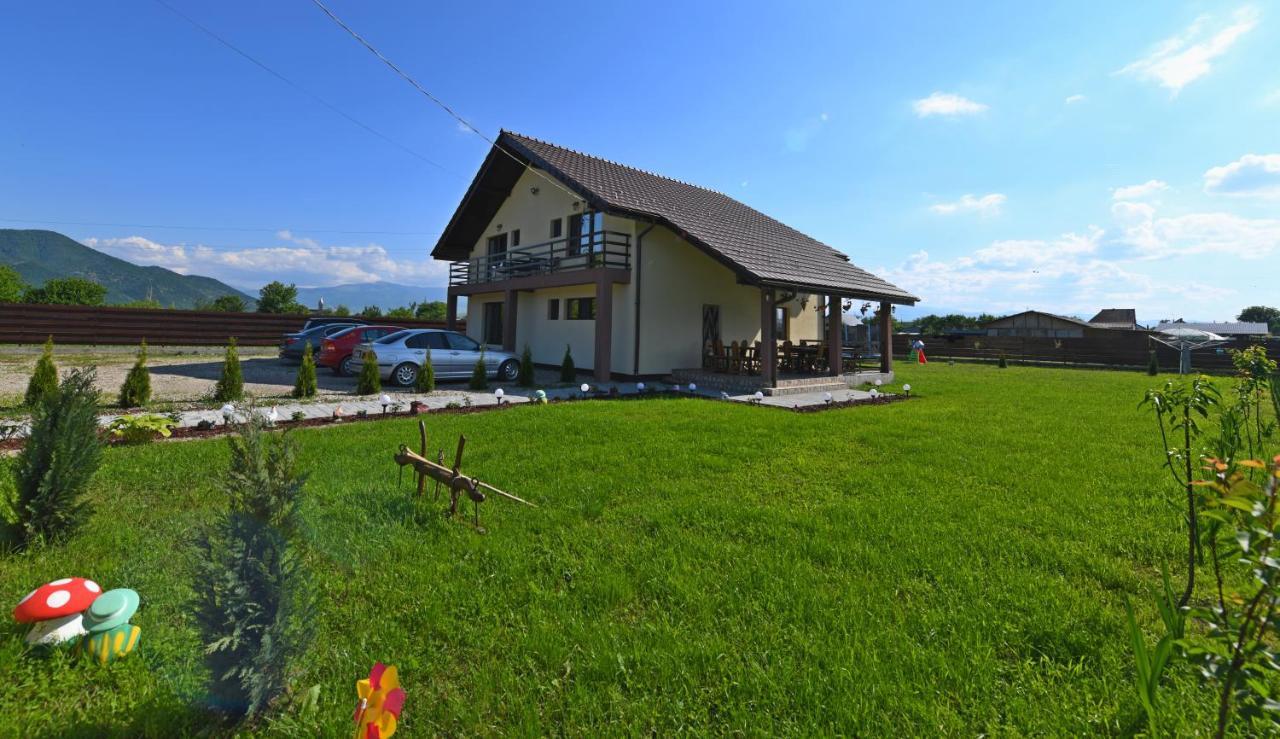 Pensiunea Daria Haţeg Exterior foto