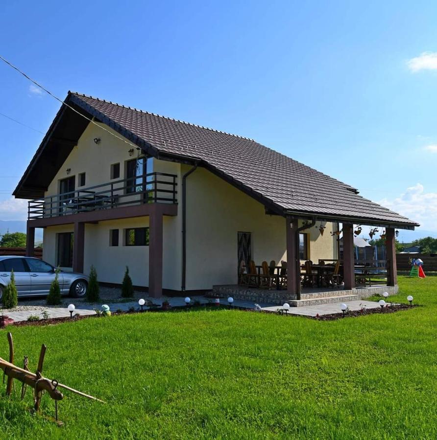 Pensiunea Daria Haţeg Exterior foto