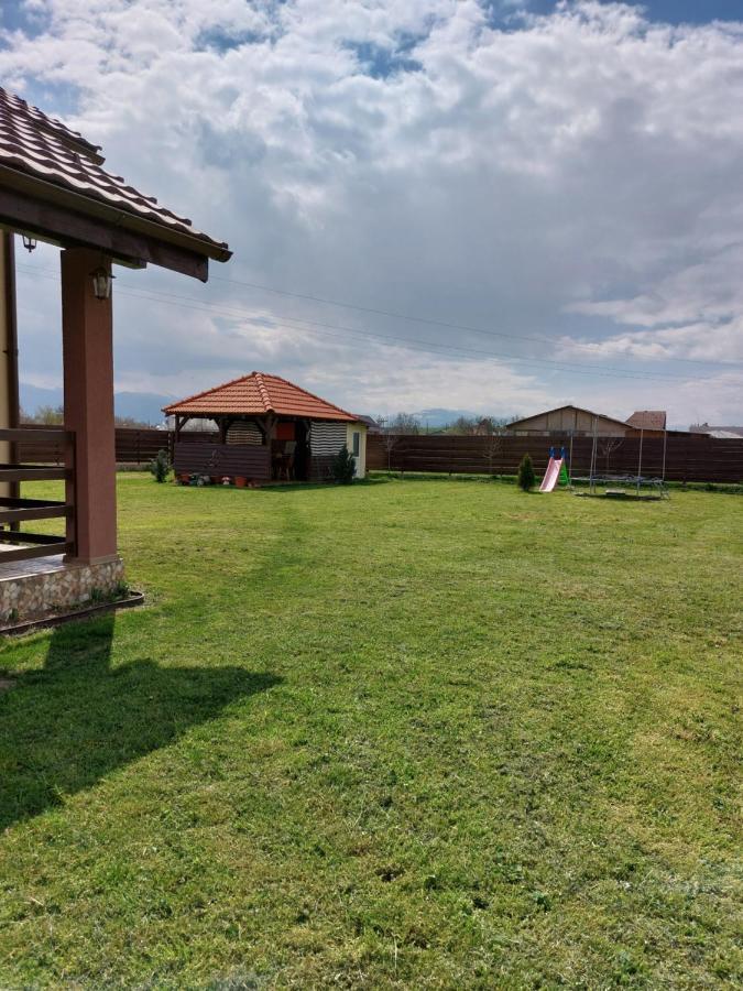 Pensiunea Daria Haţeg Exterior foto
