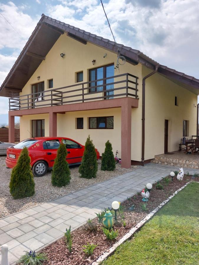 Pensiunea Daria Haţeg Exterior foto